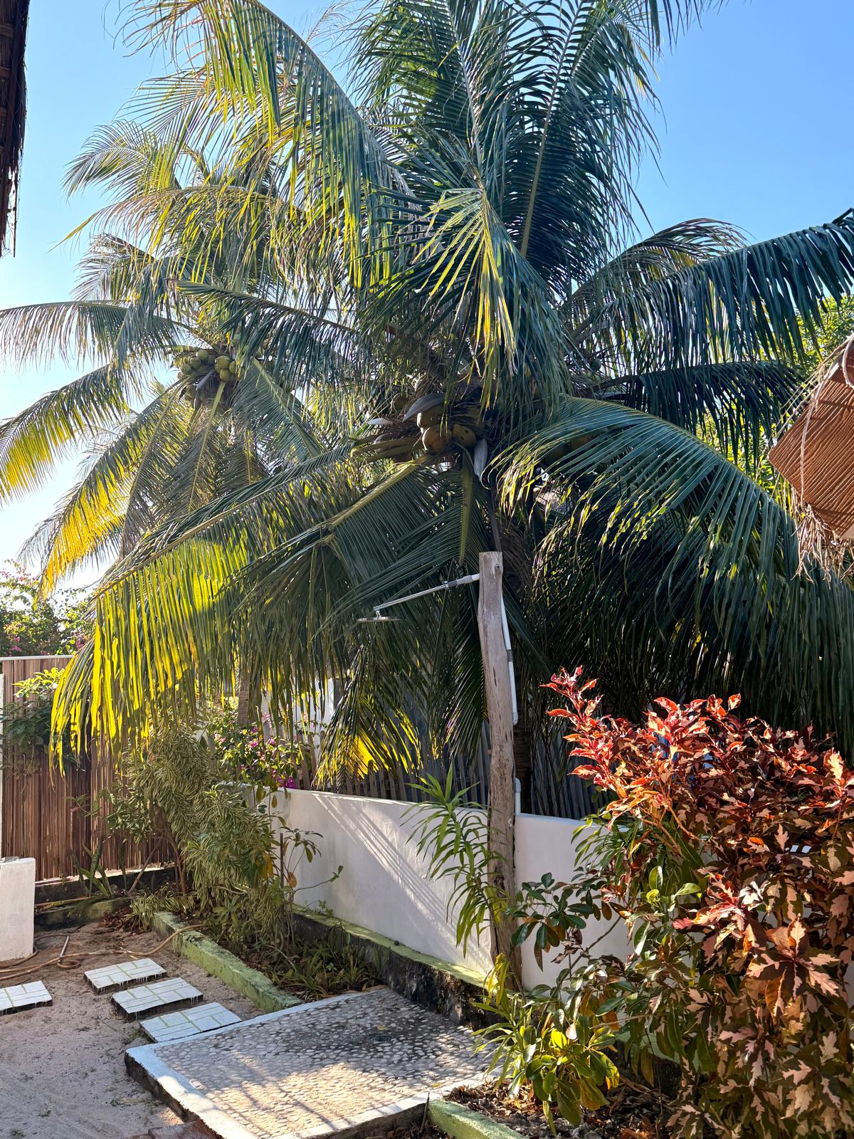 Outdoor shower